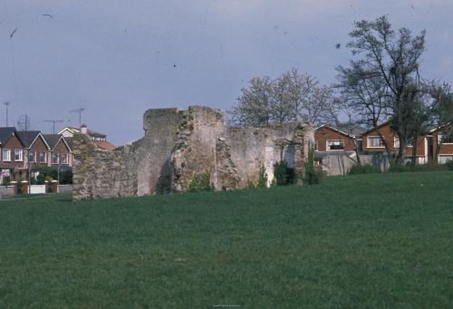 1992 view of the Priory ruins in the Hermitage Estate. Credit - Patrick Healy