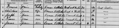 1901 census return for the Spain family