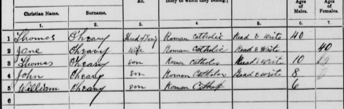 1911 census return for the O'Leary family