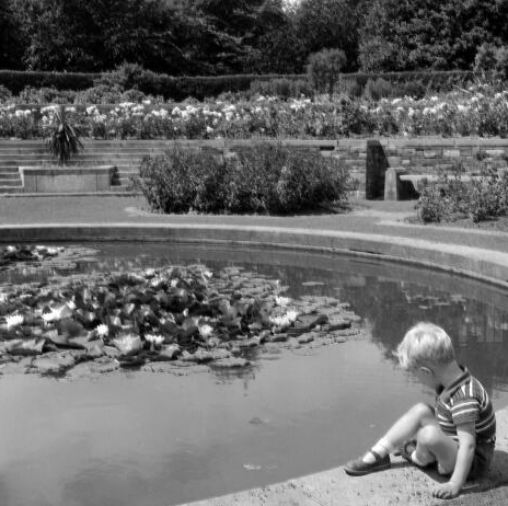 A young boy playing in the grounds of the War Memorial Gardens, early 1960s (NLI, Wiltshire Photographic Collection)