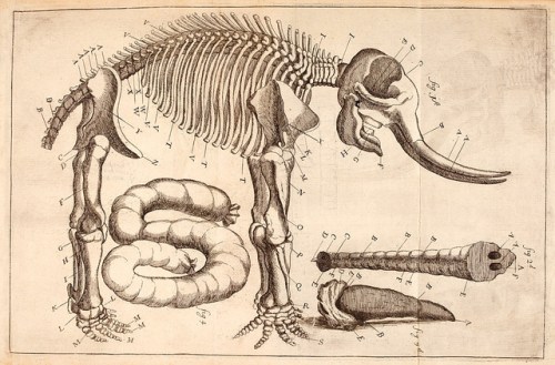 Via http://www.flickr.com/photos/yournlireland/7344513260/