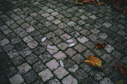 Image Credit: Luke Fallon