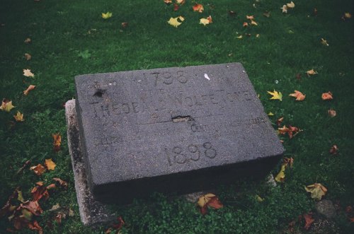 Image Credit: Luke Fallon