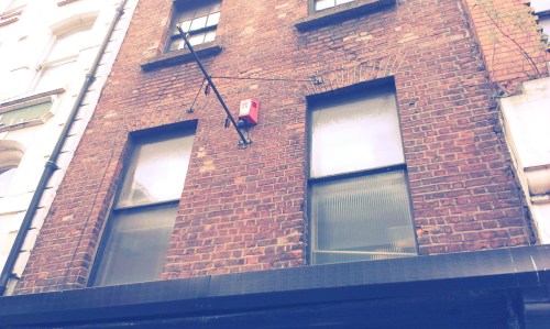 Signless Thomas Reads. Credit - Sam.