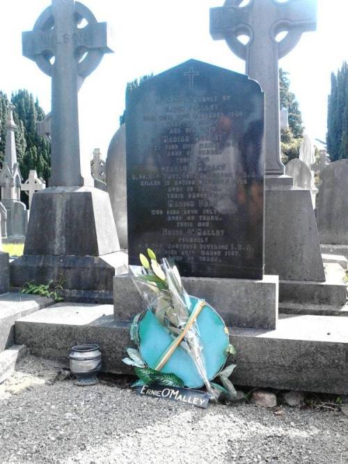 220640_10150169421139295_603459294_6541943_2326955_o