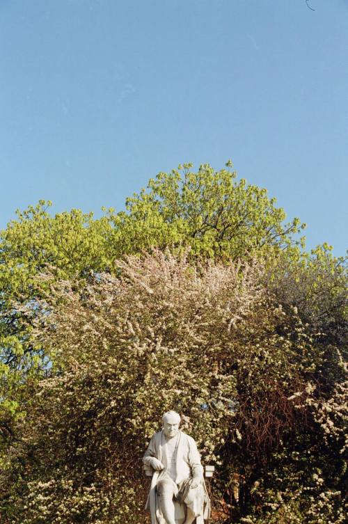 George Salmon, Provost of Trinity College Dublin remembered for his opposition to female admissions.