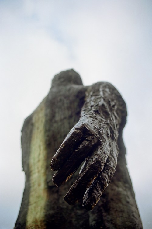 Theobald Wolfe Tone. 