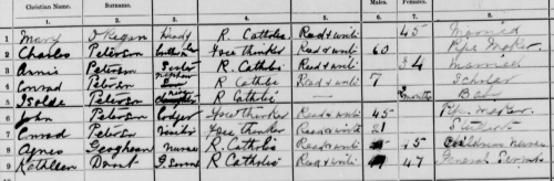 Peterson family. 1911 census return, 144 Leinster Road. Via census.nationalarchives.ie