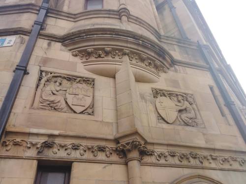 55912452_317148189156191_1092419627452989440_n