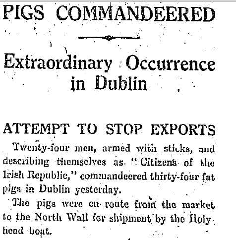 25591727_201944360371052_1978524775466944078_n